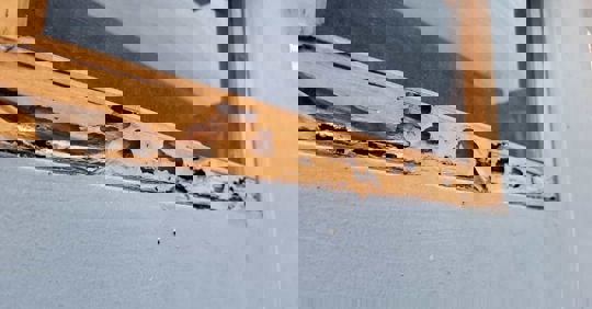 Termite-infested window frame