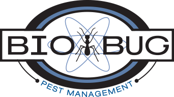 Bio Bug Pest Management